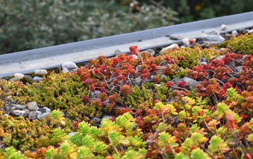 the cost of West Dunbartonshire green roof installation