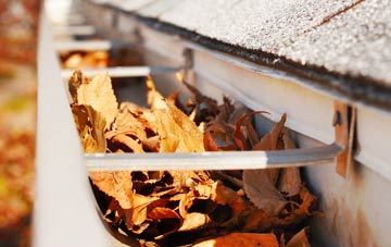 West Dunbartonshire gutter cleaning companies