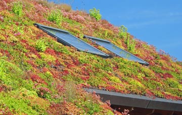 West Dunbartonshire living roof systems