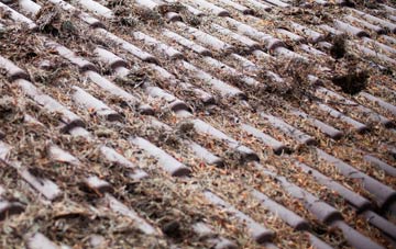 West Dunbartonshire roof cleaning companies